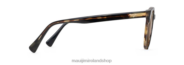 Maui Jim Sunglasses 2J26J157 | Maui Jim Upside Down Falls Polarized Classic Sunglasses Tortoise/HCL Bronze